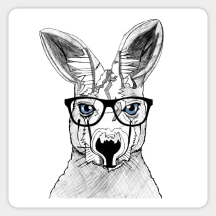 kangaroo Sticker